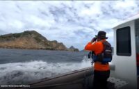 Pencarian Pelatih Valencia CF