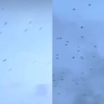 Potongan video hewan terbang di atas langit Aceh