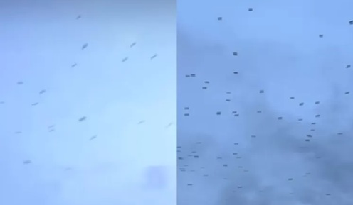 Potongan video hewan terbang di atas langit Aceh