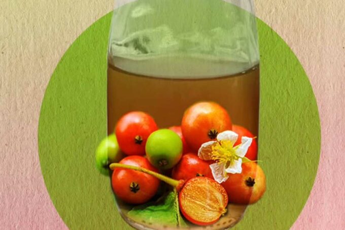 Khasiat buah talok liar