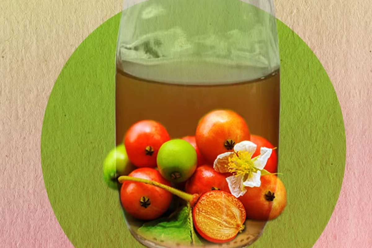 Khasiat buah talok liar