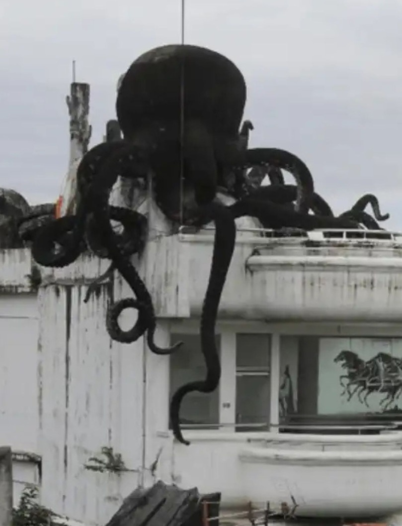 Rumah Gurita di Bandung - Dok Rumah123 -