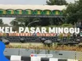 Bukan Sekadar Nama Hari! Ternyata Ini Sejarah Rahasia dan Asal-Usul Kawasan Pasar Minggu Jakarta yang Jarang Orang Tau