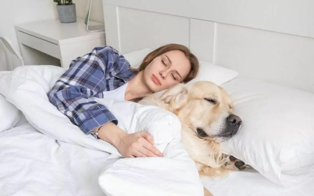 Kompetisi tidur siang, Forest Dog Sleep Challenge di Korea Selatan jadi ajang unik di mana pemilik dan anjing peliharaan bersantai bersama