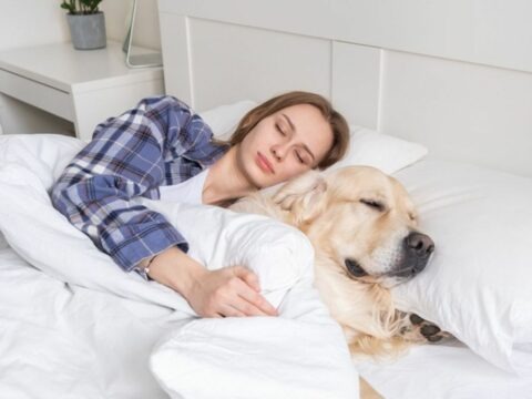 Kompetisi tidur siang, Forest Dog Sleep Challenge di Korea Selatan jadi ajang unik di mana pemilik dan anjing peliharaan bersantai bersama