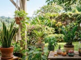 Ini 10 Rekomendasi tanaman Hias Indoor yang Minim Perawatan: Solusi Praktis Rumah Asri!