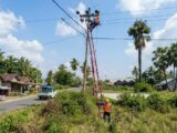 PLN Percepat Pemulihan, Fasilitas Umum dan Vital di Flores Dipastikan Teraliri Listrik