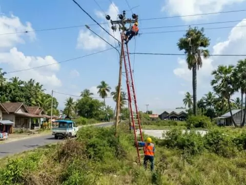 PLN