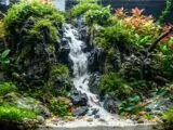 7 Tema Aquascape Terbaik untuk Mempercantik Ruangan Rumah