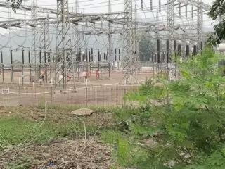 Terdakwa Kera