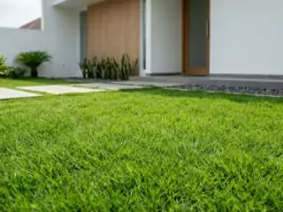 Jenis rumput taman